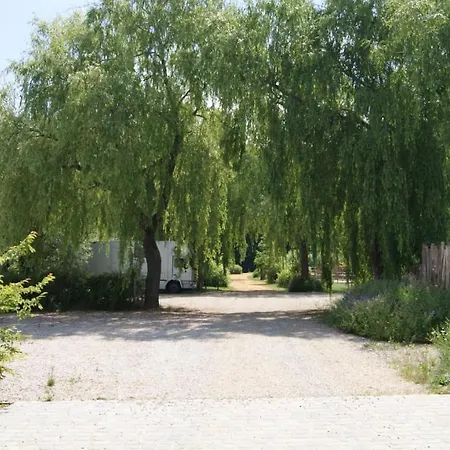Willow Camp * Beauvechain