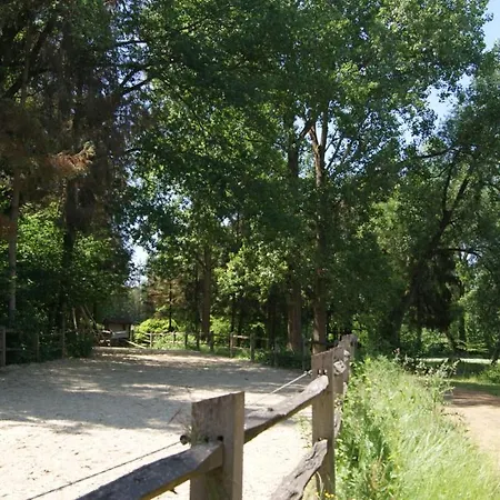 Willow Camp * Beauvechain