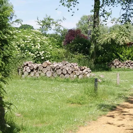 Willow Camp Beauvechain