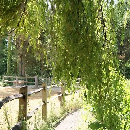 Willow Camp Κάμπινγκ Beauvechain